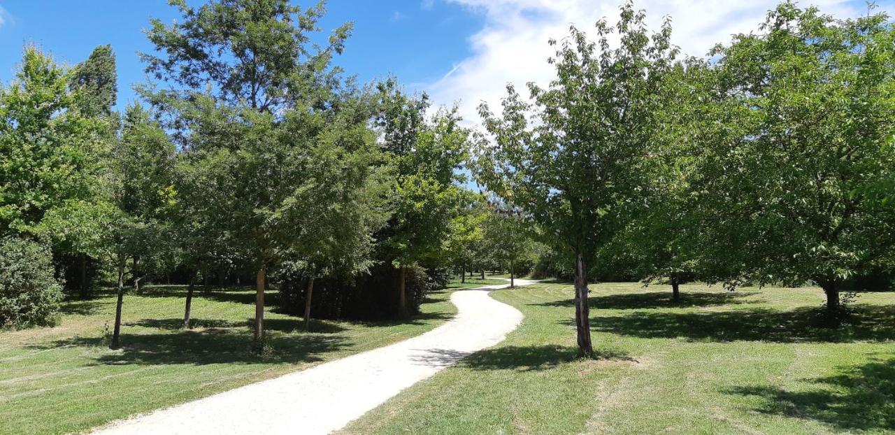 Charmant Logement Avec Piscine Bergerac Zewnętrze zdjęcie